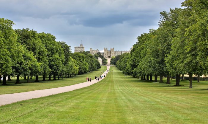 What are the best Windsor Castle Tours from London?